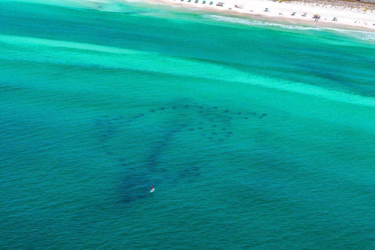 Caribbean Dunes 120 Destin Zewnętrze zdjęcie